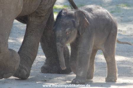 Hagenbeck 08052018 002