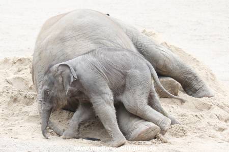 Hagenbeck 12082015 007