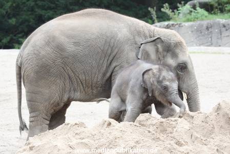 Hagenbeck 12082015 018