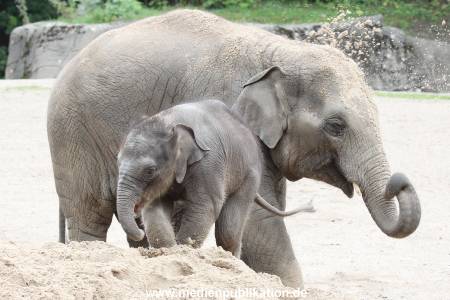 Hagenbeck 12082015 020