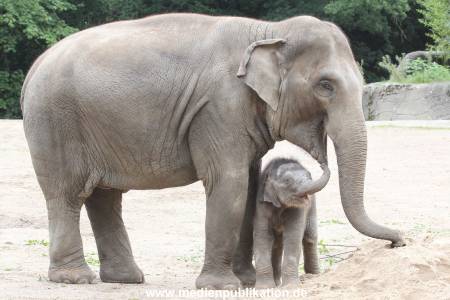 Hagenbeck 12082015 032