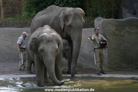 Hagenbeck 15072010 010