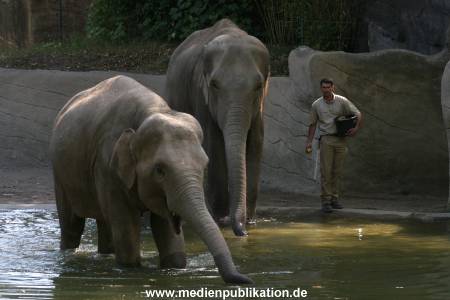 Hagenbeck 15072010 011
