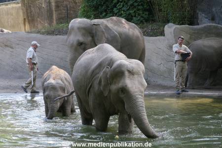 Hagenbeck 15072010 012