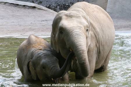 Hagenbeck 15072010 016