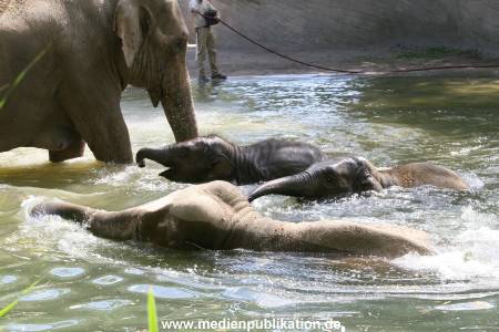 Hagenbeck 15072010 020