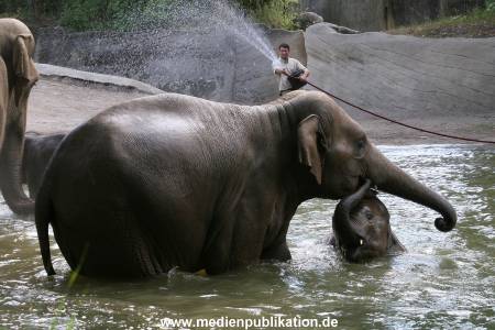 Hagenbeck 15072010 022