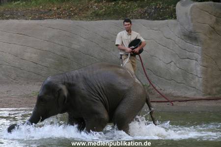 Hagenbeck 15072010 028