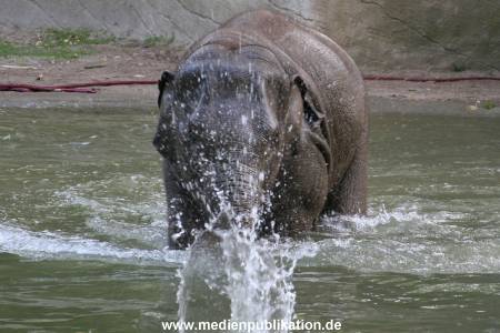Hagenbeck 15072010 030
