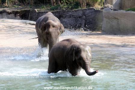 Hagenbeck 20042011 006