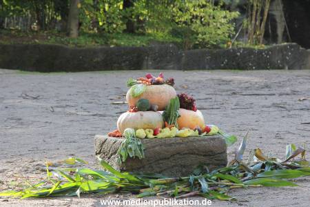 Hagenbeck 26092013 001