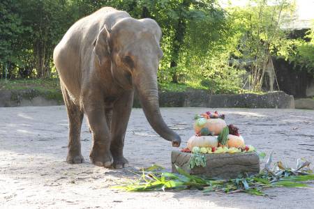 Hagenbeck 26092013 002