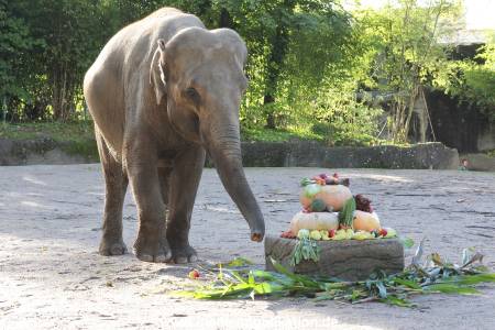 Hagenbeck 26092013 003
