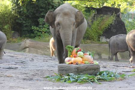 Hagenbeck 26092013 004