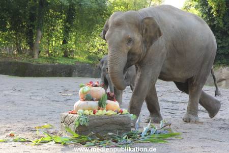 Hagenbeck 26092013 005