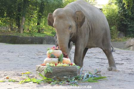 Hagenbeck 26092013 006