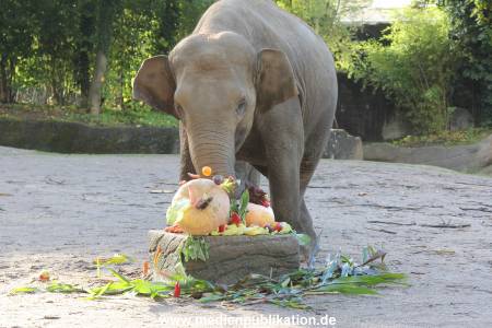 Hagenbeck 26092013 008