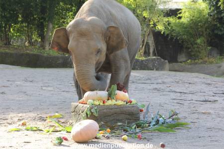 Hagenbeck 26092013 009