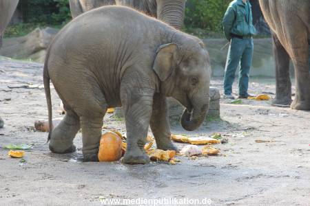 Hagenbeck 26092013 035