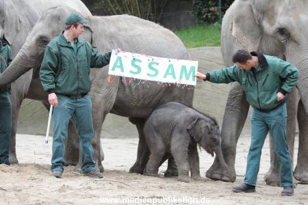 Hagenbeck 27042012 018