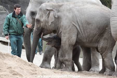 Hagenbeck 27042012 019