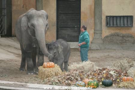 Hagenbeck 30102007 002