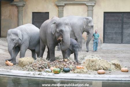 Hagenbeck 30102007 003
