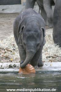 Hagenbeck 30102007 014