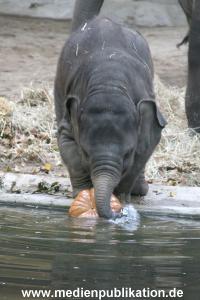 Hagenbeck 30102007 015