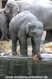 Hagenbeck 30102007 020