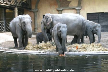 Hagenbeck 30102007 025