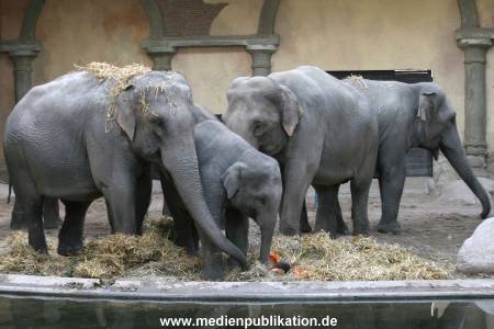 Hagenbeck 30102007 028