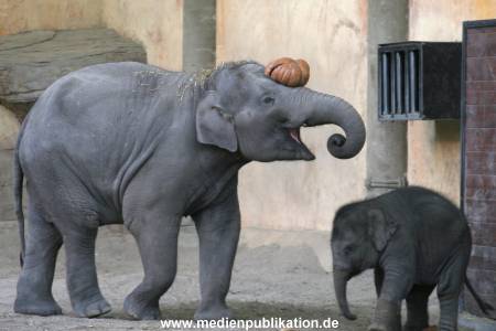 Hagenbeck 30102007 029