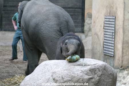 Hagenbeck 30102007 033