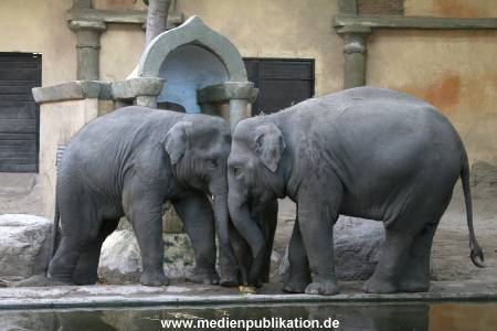 Hagenbeck 30102007 035