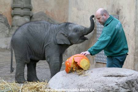 Hagenbeck 30102009 019