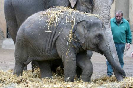 Hagenbeck 30102009 020