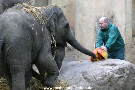 Hagenbeck 30102009 022