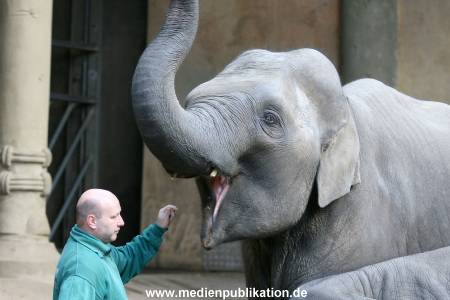 Hagenbeck 30102009 029