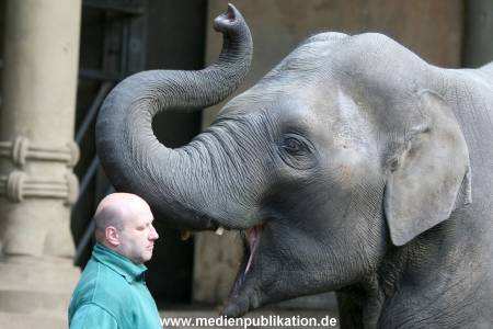 Hagenbeck 30102009 030