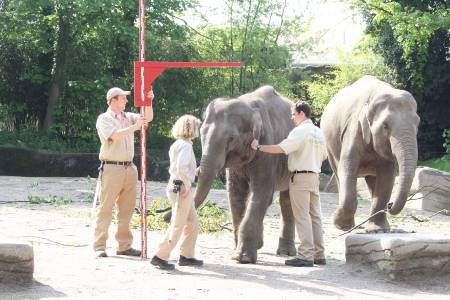 Hagenbeck Inventur 16052013 002