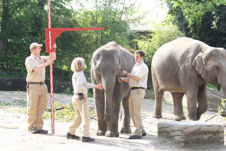 Hagenbeck Inventur 16052013 003