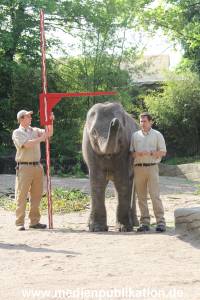 Hagenbeck Inventur 16052013 004