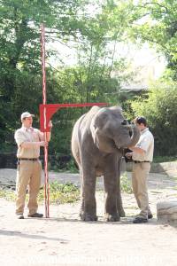 Hagenbeck Inventur 16052013 006