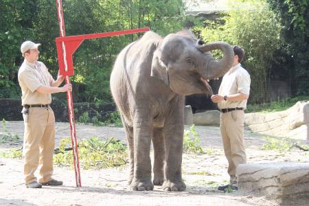 Hagenbeck Inventur 16052013 010