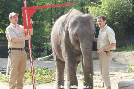 Hagenbeck Inventur 16052013 011