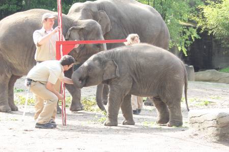 Hagenbeck Inventur 16052013 013
