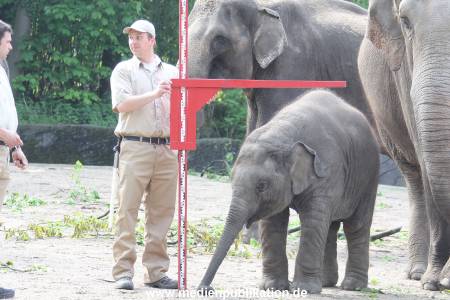 Hagenbeck Inventur 16052013 015