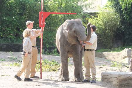 Hagenbeck Inventur 16052013 063
