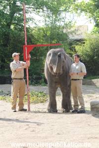 Hagenbeck Inventur 16052013 064